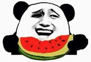 老表在吃瓜,揭秘老表吃瓜背后的故事与趣味