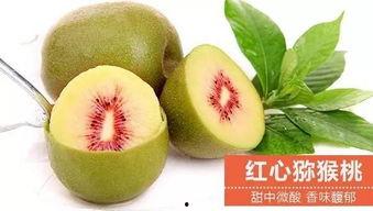 湛江市区吃瓜,尽享夏日清凉味蕾之旅