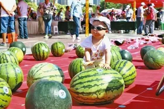 龙泉市吃瓜,品味夏日田园风情