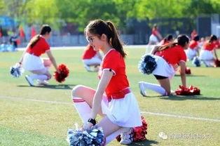 今年吃瓜事件校园,揭秘今年吃瓜事件背后的真相与反思