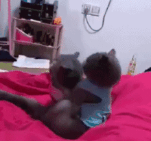 动画吃瓜看戏gif图片,带你领略网络围观风潮