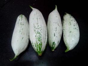 夏津吃瓜事件消息,一场引发热议的街头冲突事件回顾