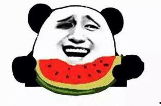 阿于吃瓜,揭秘娱乐圈幕后故事