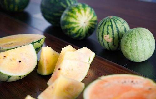 圆润吃瓜,畅享夏日清凉时光