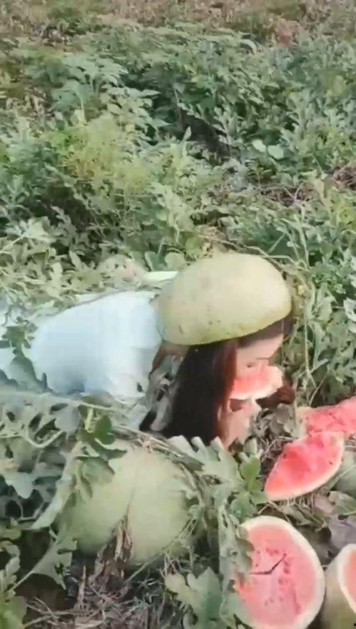 东北小姐姐吃瓜,东北小姐姐的瓜田奇遇记