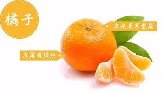 雪圈吃瓜王中王