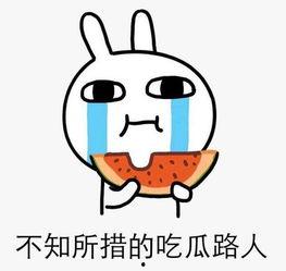 为了偷个瓜吃,一场为美食而生的冒险