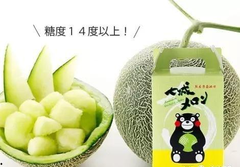 南城县吃瓜,瓜果飘香，品味夏日田园风情