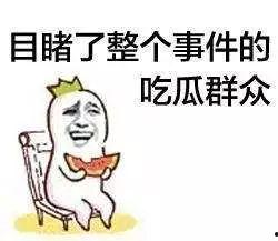 严肃的吃瓜群众,严肃吃瓜群众深度剖析