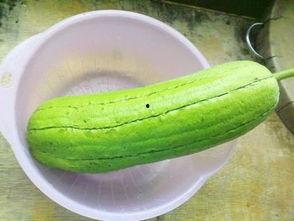 水瓜的瓜馕可以吃吗