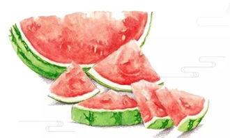 吃瓜了小腹痛,揭秘夏日消暑美食背后的健康隐患