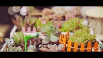 猫吃不吃瓜叶子,揭秘它们对瓜叶的喜爱之谜