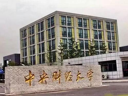 中央财经大学网课吃瓜,揭秘网课中的“吃瓜”事件