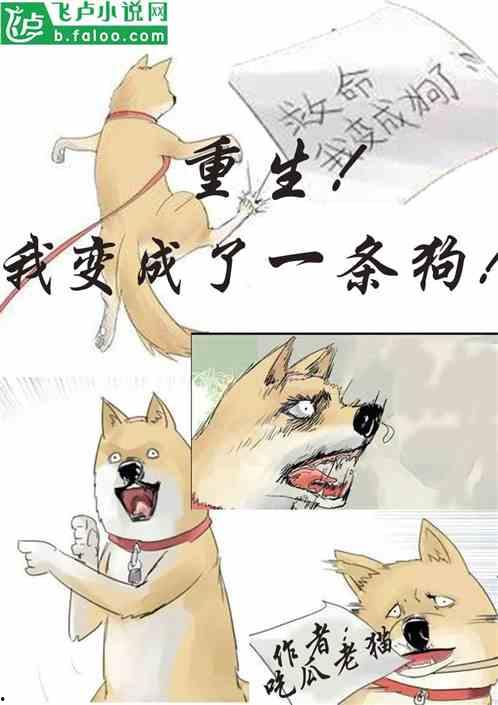 吃瓜跳楼小说,一场吃瓜引发的跳楼悲剧