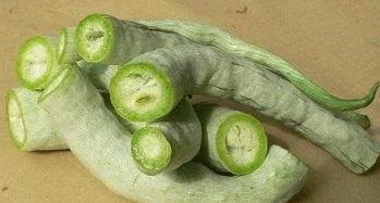 印度老太吃蛇瓜,勇敢尝鲜背后的文化传承