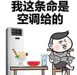 半年没捞吃瓜群众,吃瓜群众翘首以待，神秘事件即将揭晓