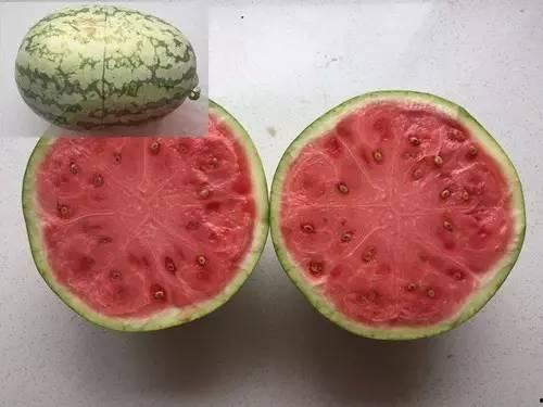 假的吃瓜文件,一场荒诞的虚构事件大揭秘
