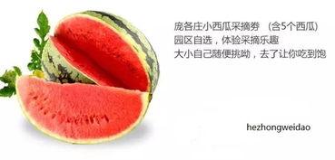 鑫禧禾吃瓜