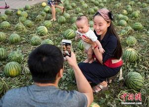 群众拍摄吃瓜的图片